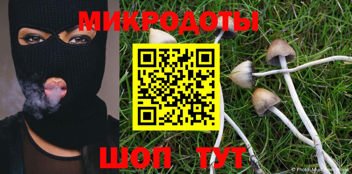 Пушкино  Псилоцибиновые грибы Magic Shrooms  Вход с VPN 